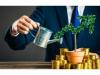 Financiamento e investimento entre particular .
