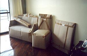 TRANSPORTADORA TONINI MUDANÇAS